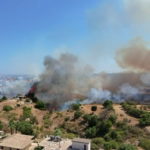 Priolo, rogo alla Pineta: vigili del fuoco sul posto