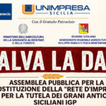 Grani Antichi Siciliani: al via Rete d’Impresa e disciplinare IGP