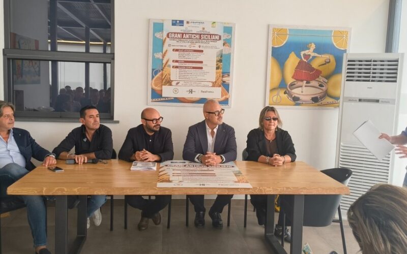 Grani Antichi Siciliani: al via la Rete per l'IGP