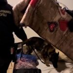 Blitz antimafia a Catania e Siracusa: 25 arresti sequestrati 5,5 milioni – Video