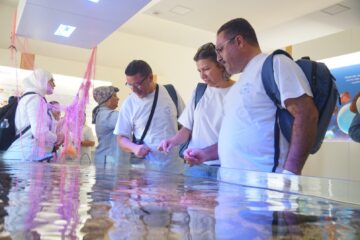 Dalla Tunisia al Plemmirio, aree protette: il Mediterraneo fa rete