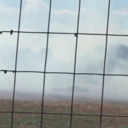 Nuovo incendio nella riserva Ciane e Saline – Video