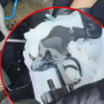 Catania, arsenale da guerra nascosto nel container: arrestato un 27enne a Nesima – Video