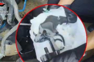 Catania, arsenale da guerra nascosto nel container: arrestato un 27enne a Nesima – Video