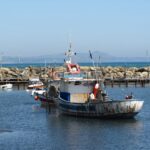 Settore pesca, al via la “Cambiale Azzurra”: 10 milioni di euro per la liquidità delle imprese