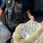 Catania: le fiamme gialle sequestrano droga per 4,5 milioni di euro