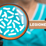 Allarme legionella a Palermo: tre plessi chiusi da 8 giorni, 1.200 studenti verso la DAD o i doppi turni