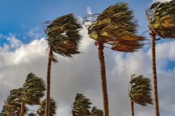 Meteo, l’anticiclone delle Azzorre porta stabilità: forte vento al Sud fino a giovedì, poi clima mite