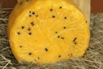 Terra e Gusto: viaggio nei sapori d’eccellenza della provincia di Enna, cuore agricolo della Sicilia