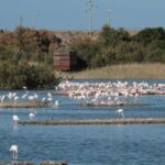 Riserva Ciane-Saline, Gilistro: “Il progetto da 5,5 milioni va rivisto”