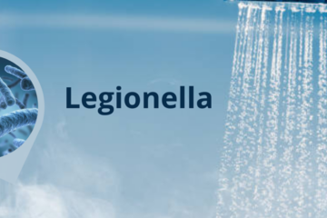 Legionella e Legionellosi: Che cos’è, come si trasmette, sintomi e prevenzione