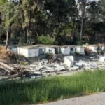 Foce dell’Alcantara e Fiumefreddo, la natura resiste dopo il ciclone Harry ma vince il degrado: spazzatura, sciacalli e burocrazia